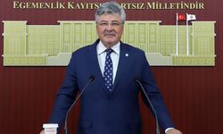 İYİ Partili Egun: Narenciye üreticisi açmazda