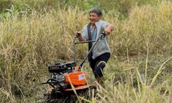 Filipinler'deki tarihi pirinç teraslarına destek