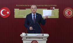 Yeni Partili Pala'dan kızamık salgını uyarısı