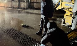 Kocaeli'de denizdeki köpüklenmenin sırrı çözüldü