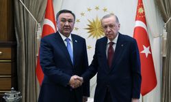 Erdoğan, TDT Genel Sekreterini kabul etti