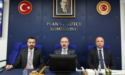Fon yasası Plan ve Bütçe Komisyonunda görüşülmeye başlandı