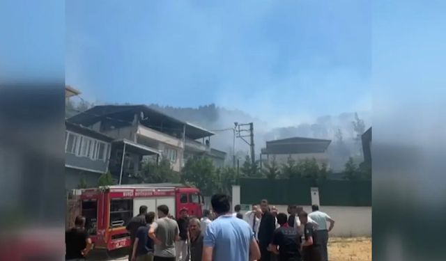 Bursa'daki orman yangını kontrol altına alındı