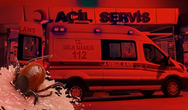 Kene alarmı: Ölenlerin sayısı 16'ya çıktı