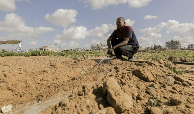 Araziler de enkaz altında: Gazzeli çiftçiler toprak arıyor