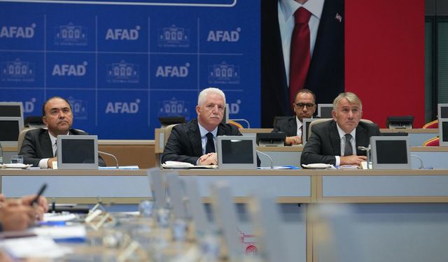 Gül: Sahipsiz hayvan meselesini kırmadan dökmeden çözeceğiz