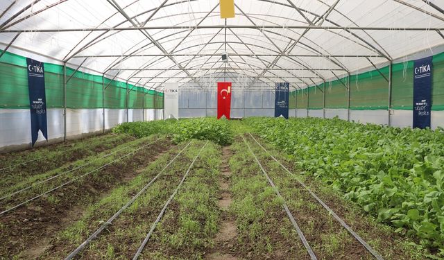 TİKA'dan Afganistan'a modern seralar