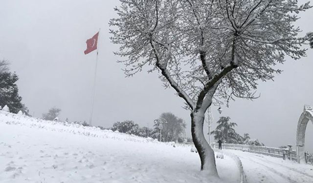 İstanbul yeni yıla kar yağışı ile girdi