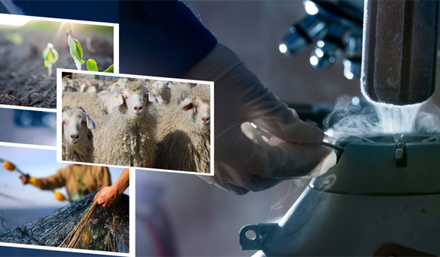 Çiftçilerin hesabına 1,1 milyar lira bugün aktarılıyor