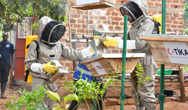 TİKA'dan Ugandalı arıcılara destek