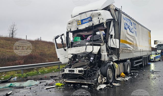 Türk TIR şoförü Bulgaristan'daki kazada hayatını kaybetti
