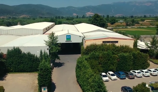 Rekabet Kurumu'ndan May Tohum hakkında soruşturma