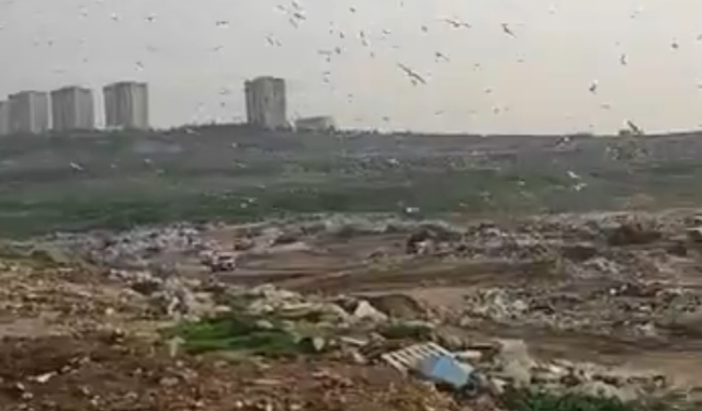 Bursa Belediyesi'ne 'vahşi depolama' cezası