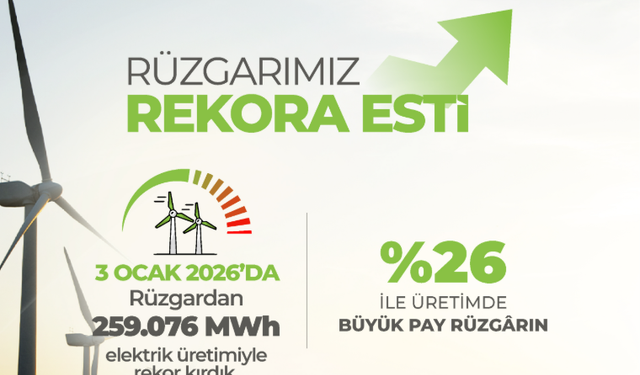 Ocak ayı fırtınası enerji sektörüne rekor getirdi