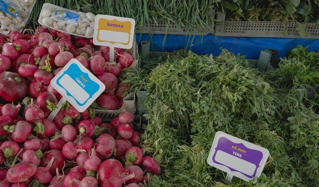 Diyarbakır'da esnafa Kürtçe tabela ve etiketler dağıtıldı