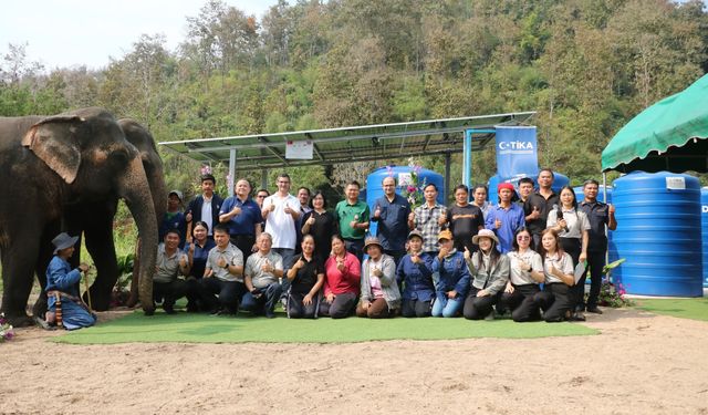 Türkiye'den Tayland'daki fillere destek