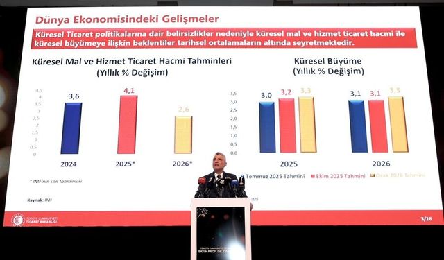 Suudi Arabistan, TIR şoförlerine 15 günlük vize verecek