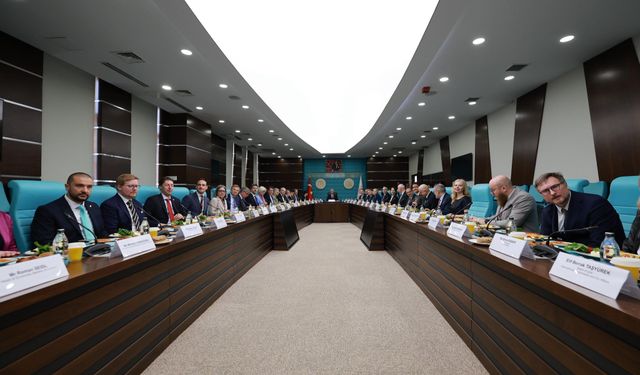 TIR şoförleri için Avrupa ülkelerinden vize kolaylığı talebi