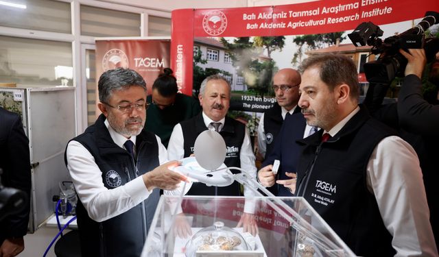 Pestisit yerine faydalı böcek üretimine ağırlık veriliyor