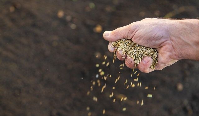 Ortak fiyat belirleyen tohum üreticilerine ceza yağdı