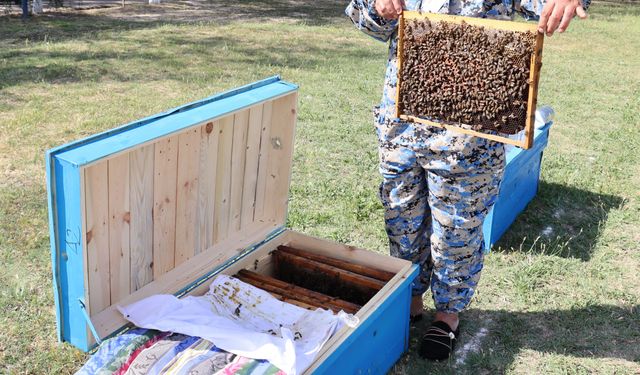 Özbekistan'da modern arıcılık projesi