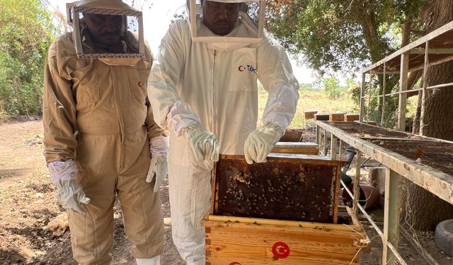 Türkiye'den Sudanlı arıcılara destek