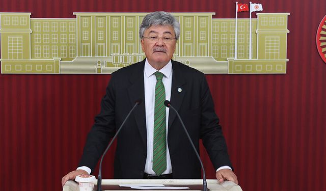 Ergun: Zeytin stratejik ürün kapsamına alınmalı