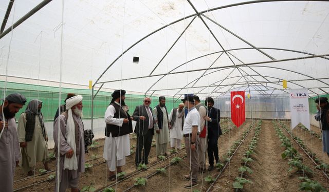 TİKA'dan Afganistan'a modern sera desteği