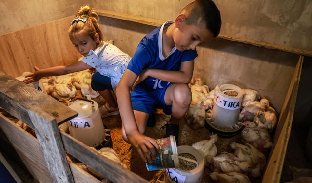 Bosna-Hersek'te mikro hayvancılık için destek