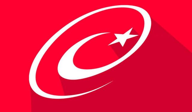 E-devletten ödeme kuruluşlarındaki hesaplar sorgulanabiliyor