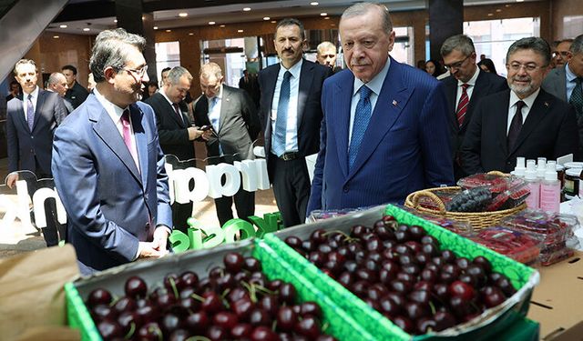 Erdoğan: Çiftçiyle bütünleşmek kafaya kasket takmak değildir