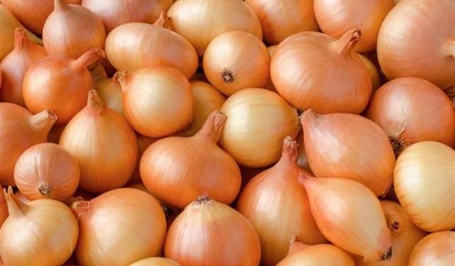 Kuru soğanda gümrük vergisi geçici olarak %5'e düştü