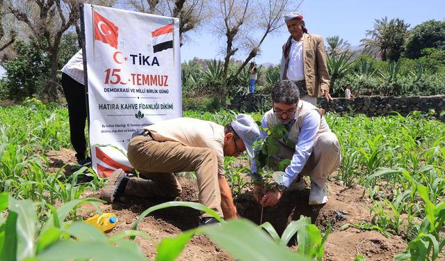 Yemen'de 15 Temmuz Şehitleri anısına kahve fidanı dikildi