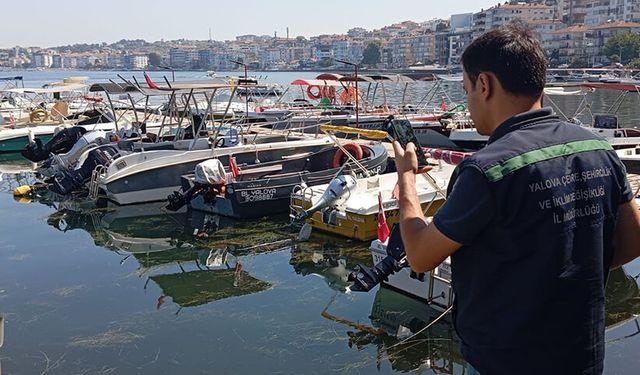 Yalova ve Antalya'da denize atık su deşarjı cezası