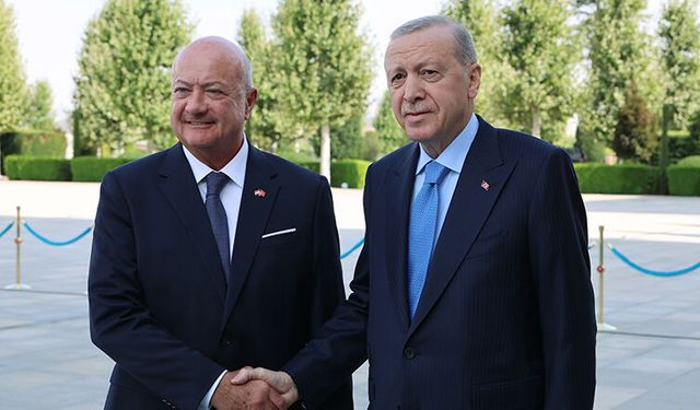 Erdoğan, Avusturya Başbakanı ile görüştü