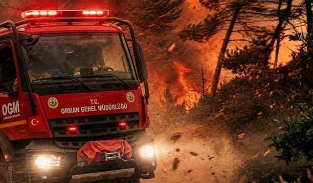 Dokuz il için orman yangını uyarısı