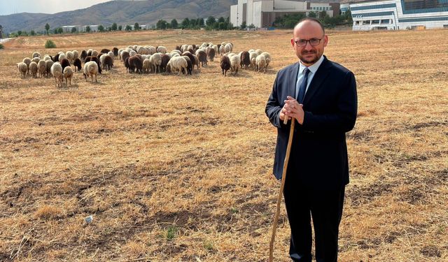 Rektörden koyun sürüsüyle ilgili açıklama
