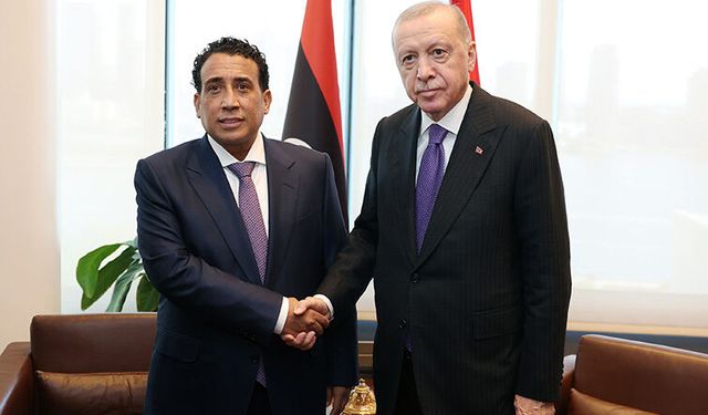 Erdoğan: Libya'nın menfaatine aykırı formüllere razı olmayız