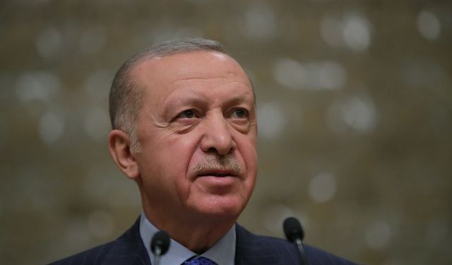 Erdoğan, Devlet Denetleme Kurumu'nu görevlendirdi