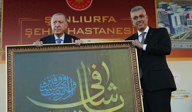 Erdoğan: Terorsüz Türkiye hedefiyle aramıza kimse giremez