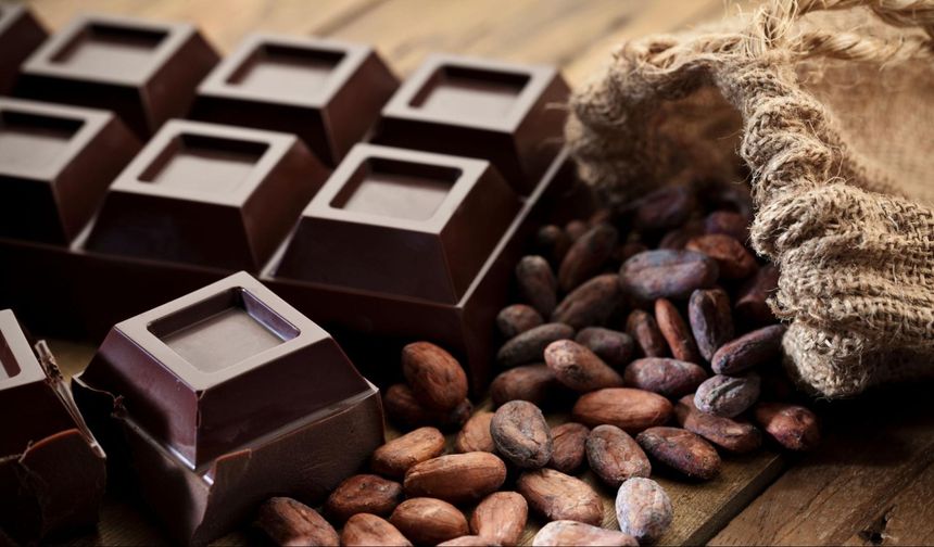 Araştırma: Bu çikolata hafızayı anında güçlendiriyor