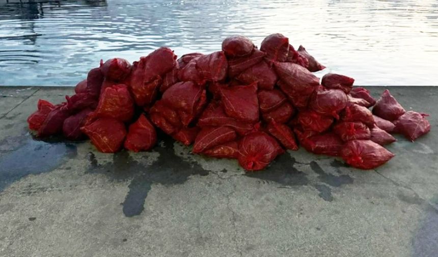 İstanbul polisinden kaçak midye operasyonu