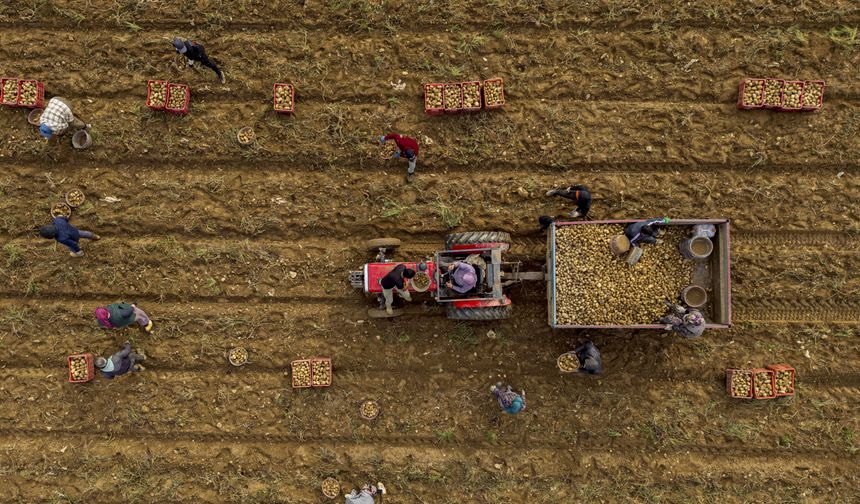 Kırsal kalkınmada hibe oranı yüzde 70'i bulacak
