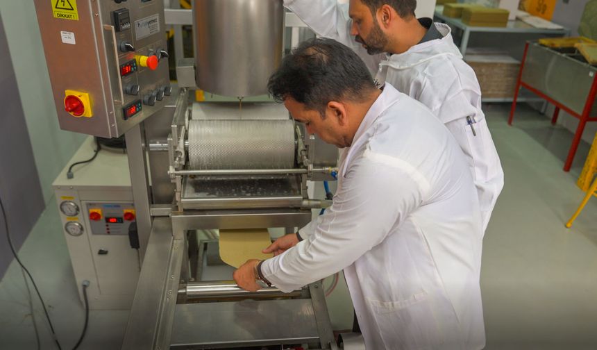 Pakistan'da modern balmumu temel petek üretimi başladı