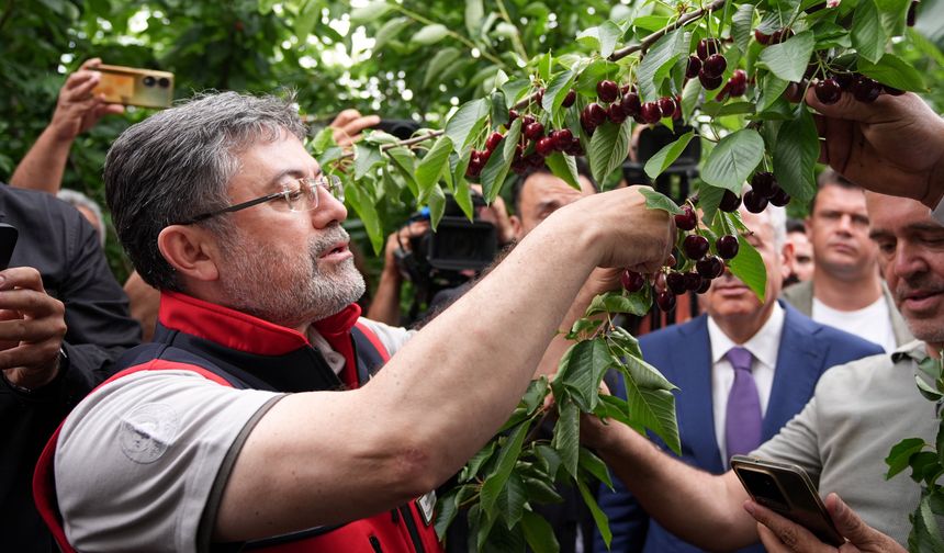 Tarımsal destek oranları yeniden hesaplanacak
