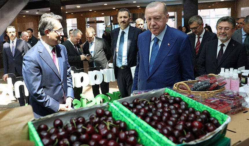 Erdoğan: Çiftçiyle bütünleşmek kafaya kasket takmak değildir