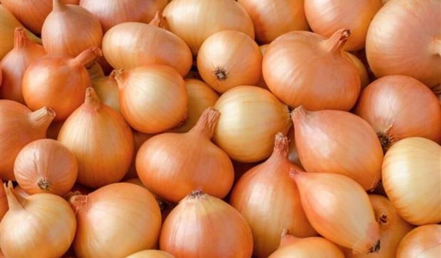 Kuru soğanda gümrük vergisi geçici olarak %5'e düştü