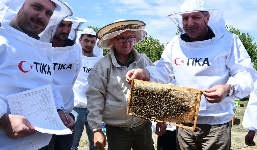 Azerbaycan'da arıcılara eğitim ve ekipman desteği