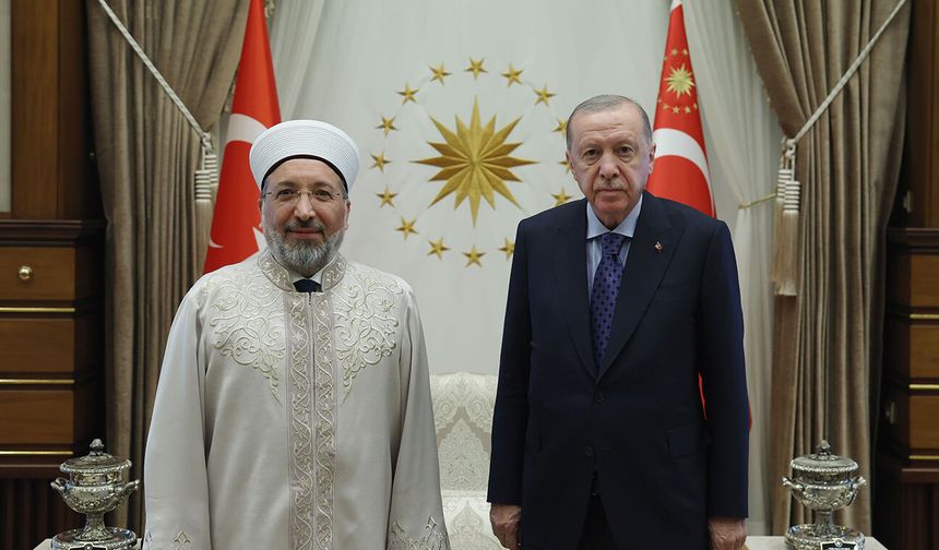 Cumhurbaşkanı Erdoğan, Arpaguş'u kabul etti
