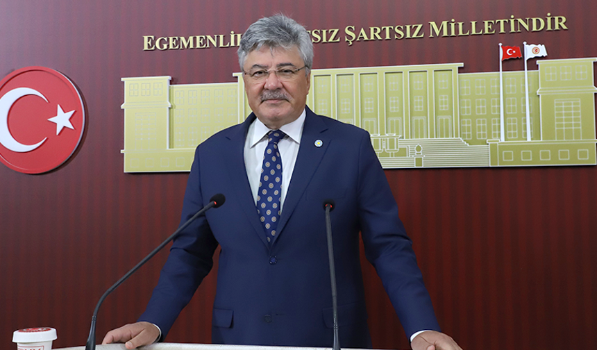 Ergun: Zeytinin dalda kalma riski var